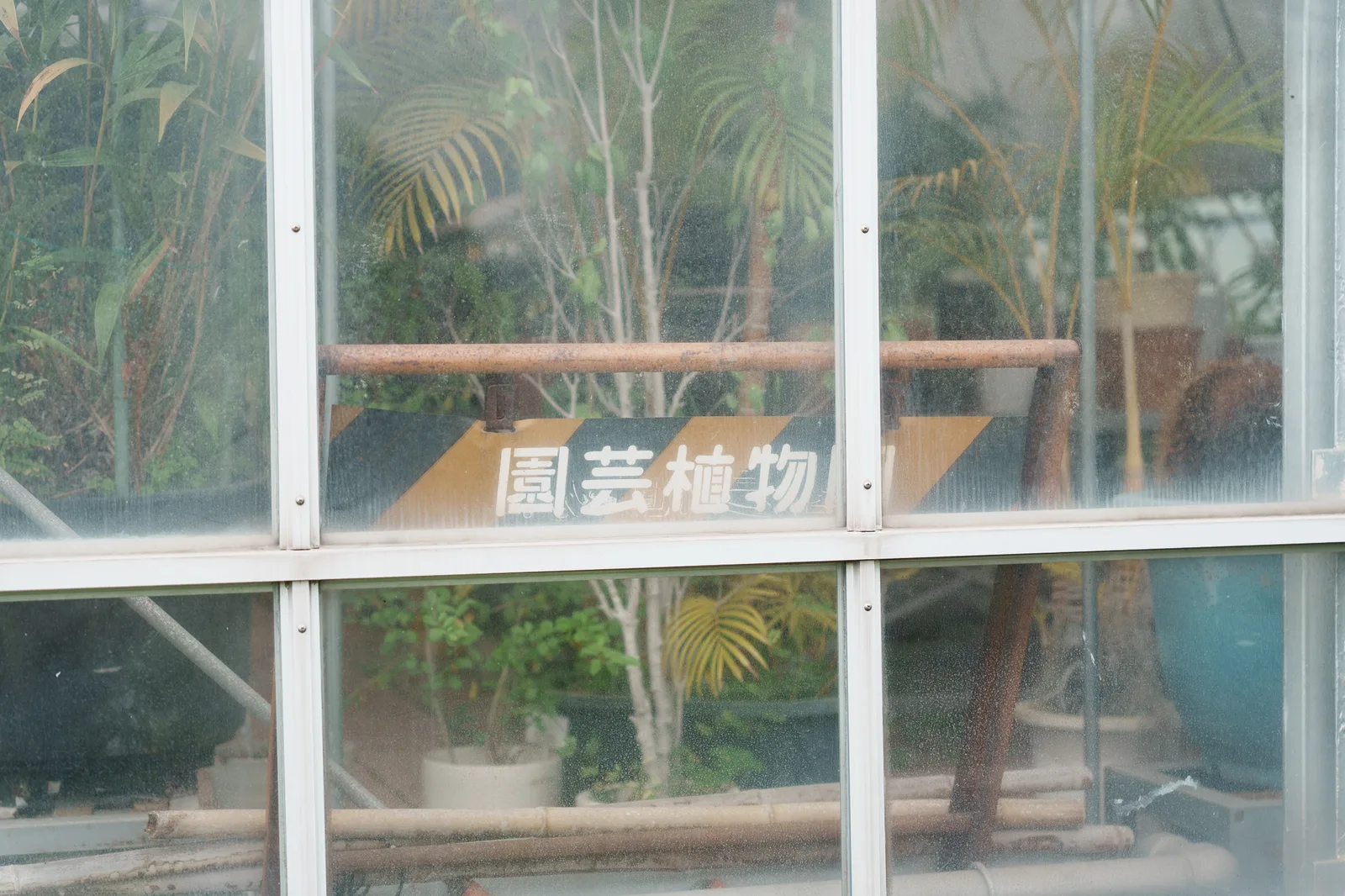 さいたま市園芸植物園-21.jpg