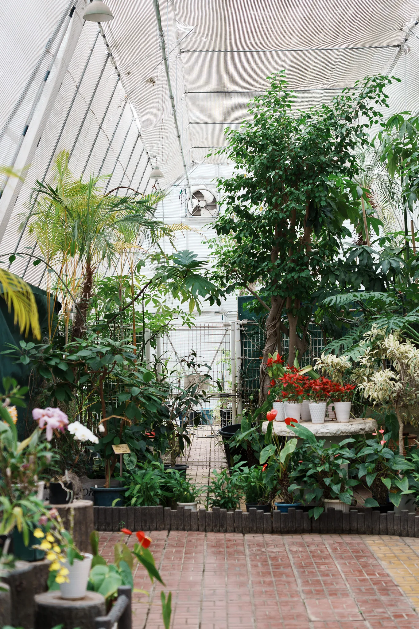さいたま市園芸植物園-18.jpg