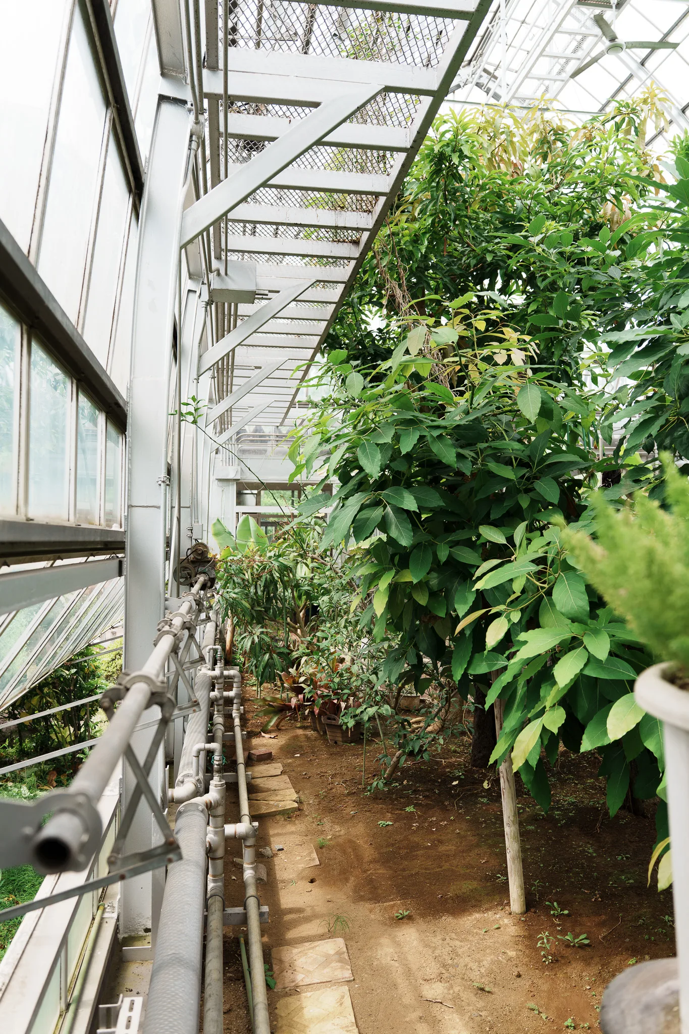 さいたま市園芸植物園-06.jpg