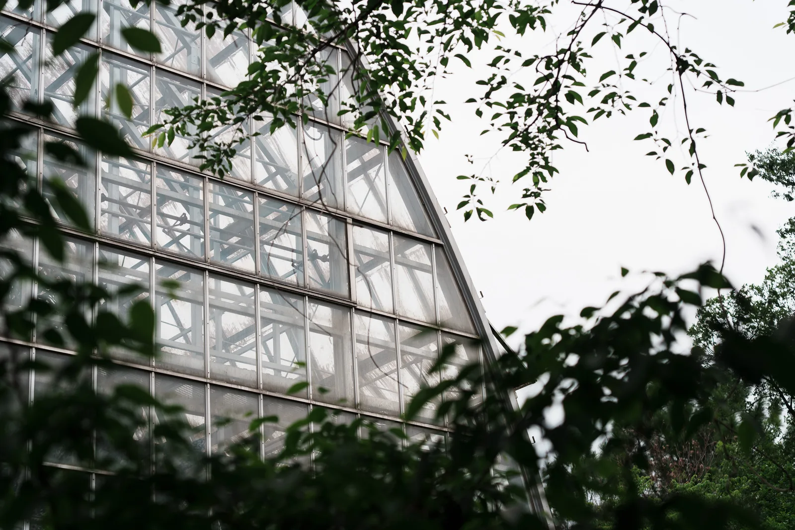 さいたま市園芸植物園-02.jpg