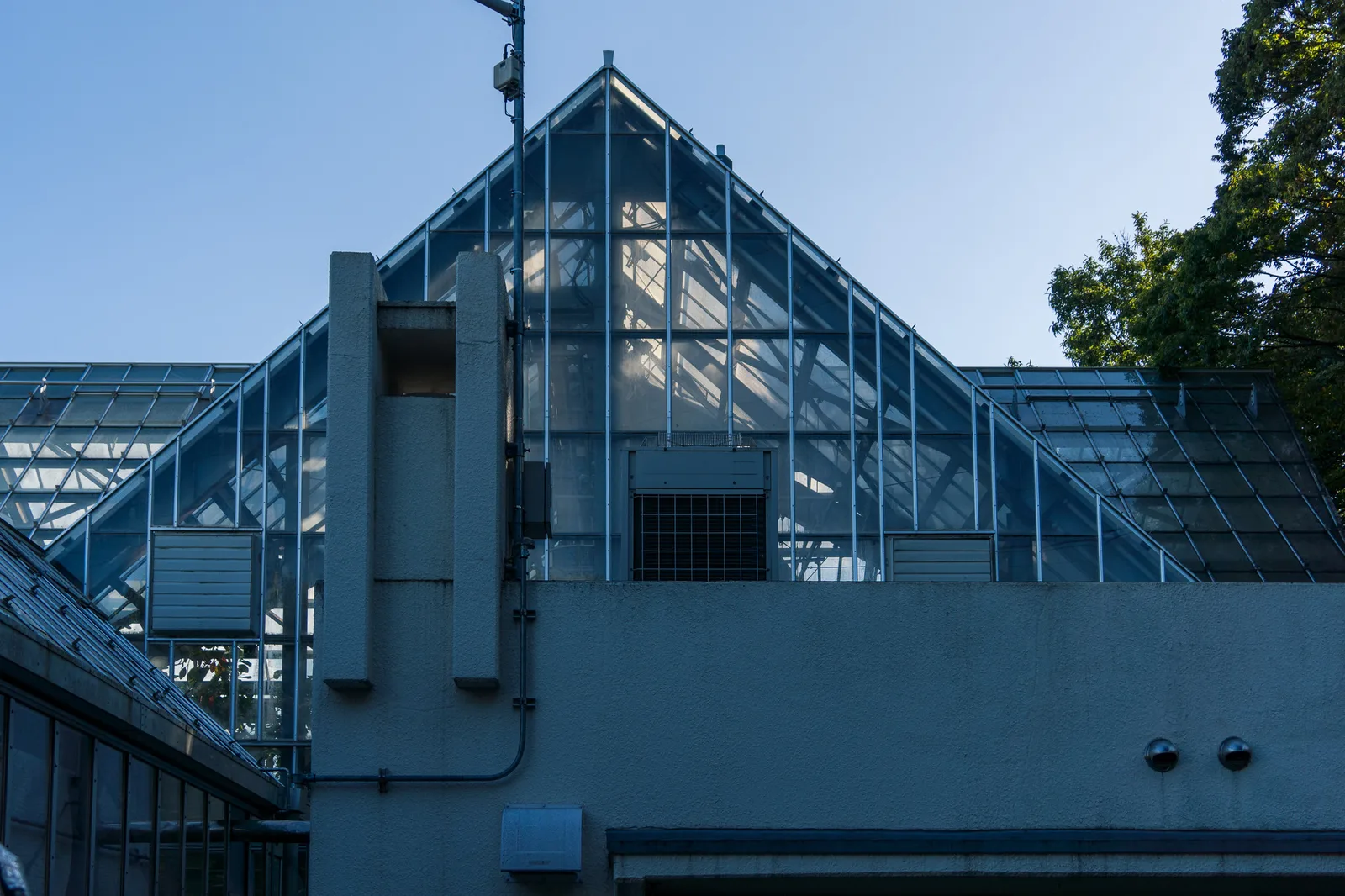 東京都薬用植物園-04.jpg