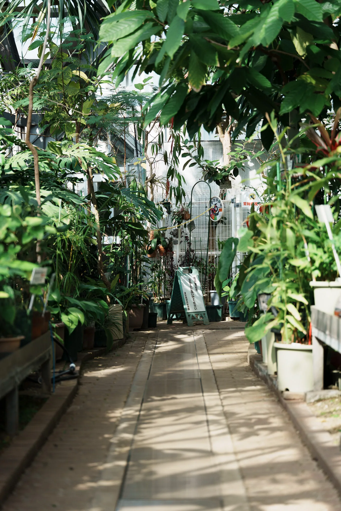 東京都薬用植物園-14.jpg