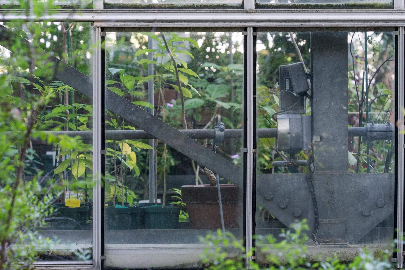 東京都薬用植物園-18.jpg