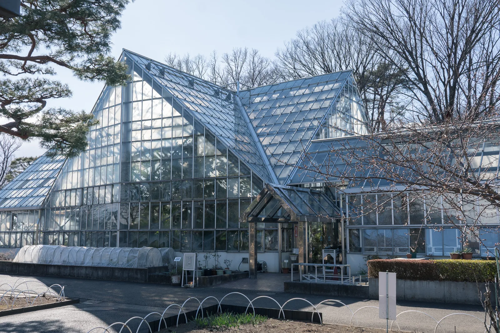 東京都薬用植物園-01.jpg
